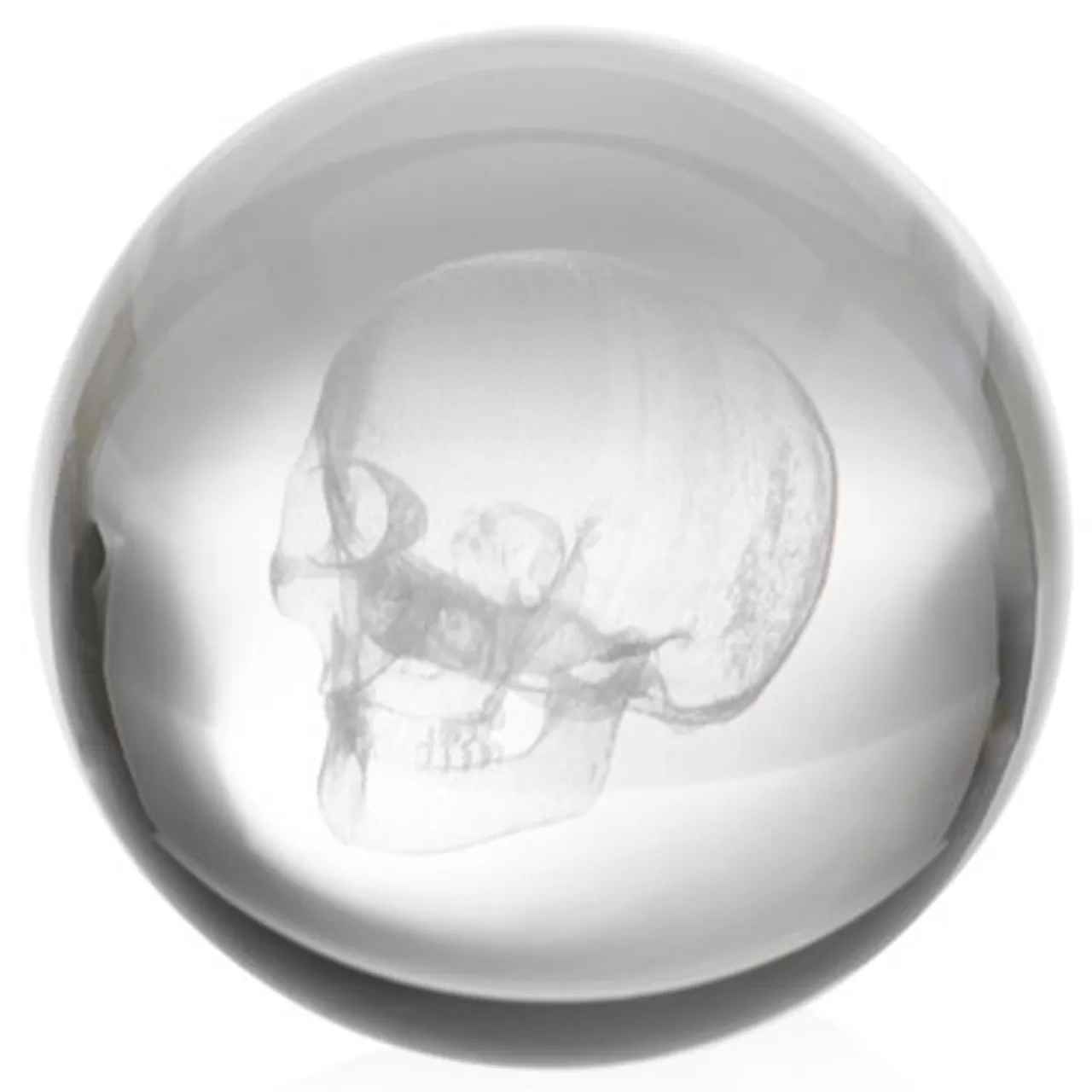 Z Gallerie Crystal Skull Paperweight> Home Decor | Décor Sale