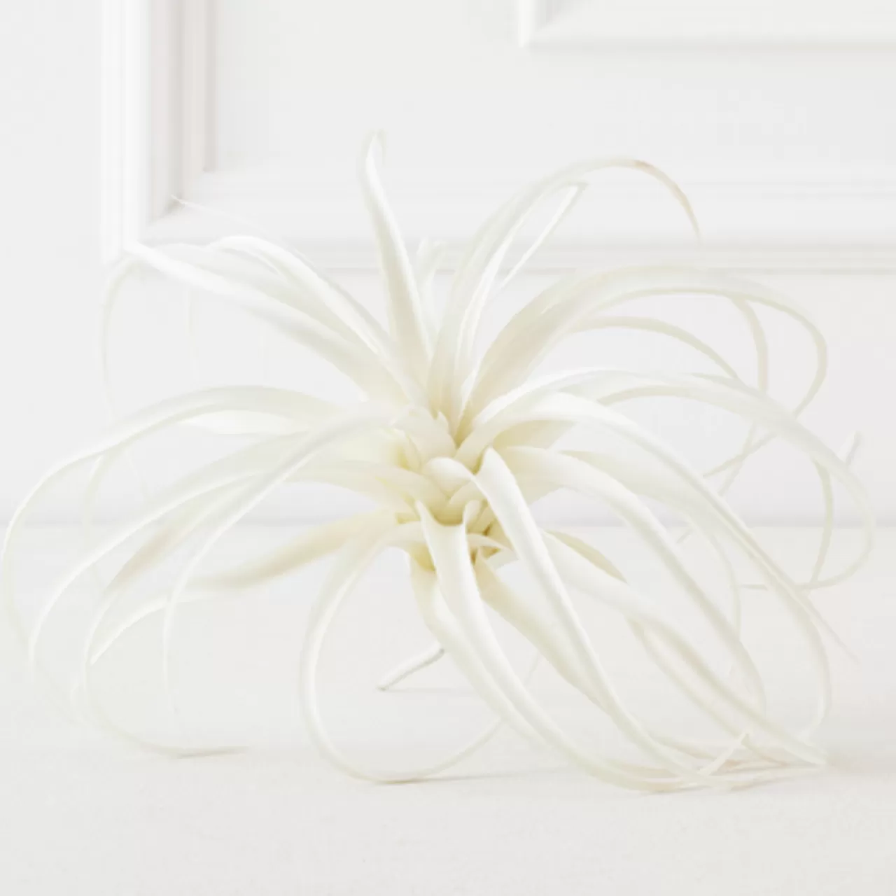 Z Gallerie Faux Air Plant - Set of 3> Home Decor | Décor Sale