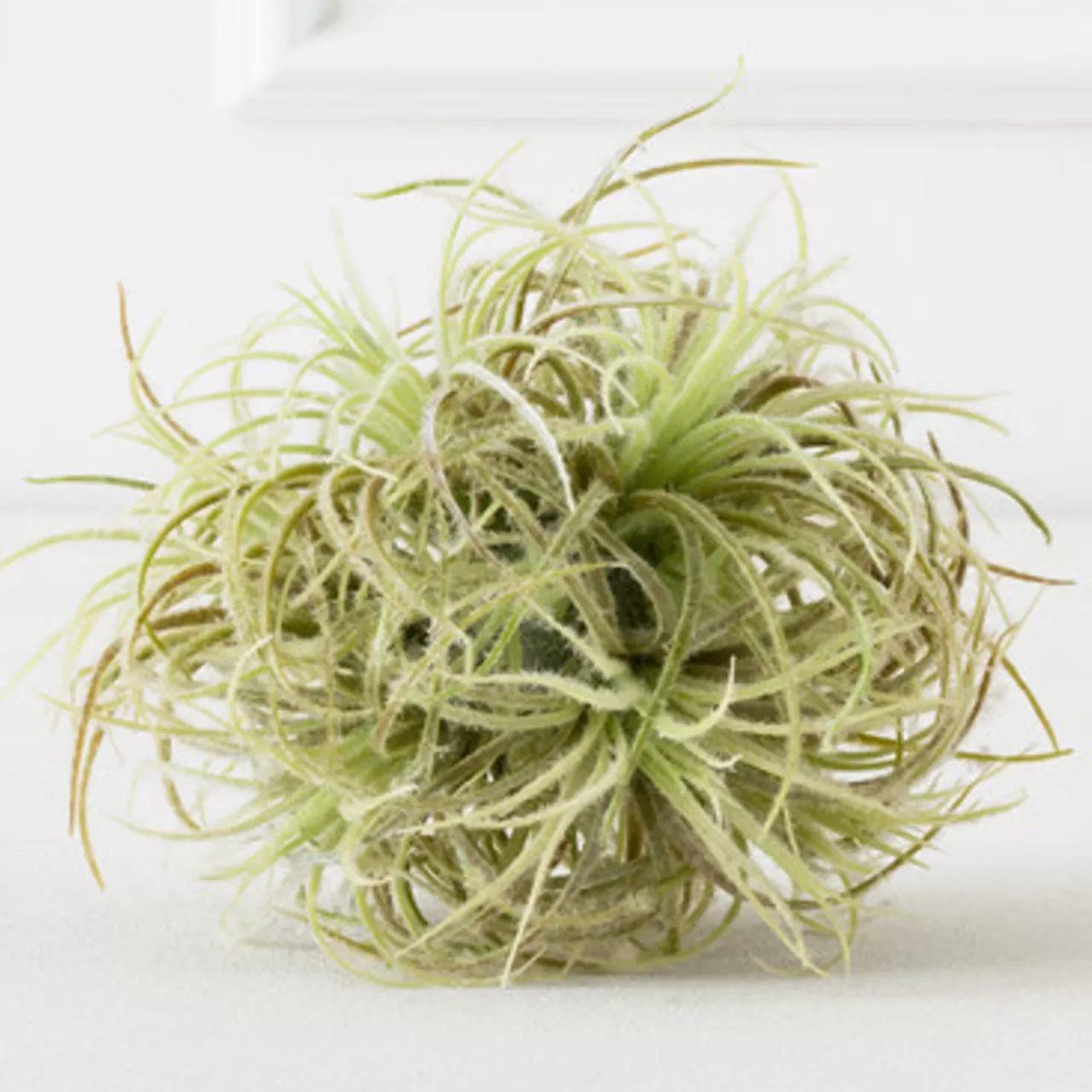 Z Gallerie Faux Airplant Sphere> Home Decor | Décor Sale