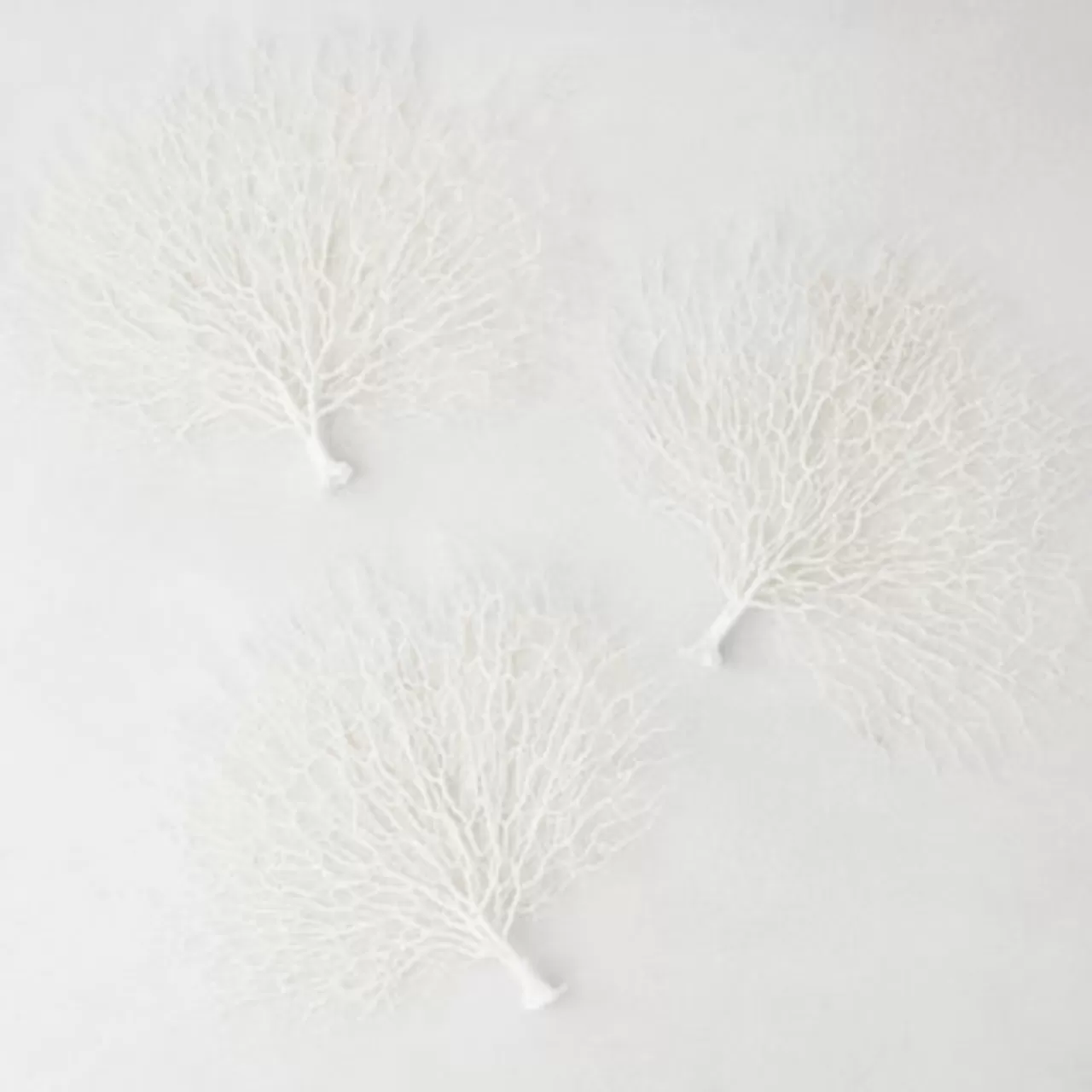 Z Gallerie Faux Coral Fan - Set of 3> Home Decor | Décor Sale