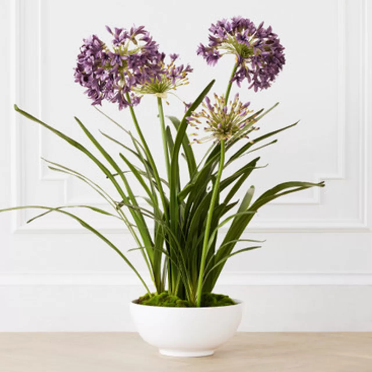 Z Gallerie Faux Potted Agapanthus> Home Decor | Décor Sale