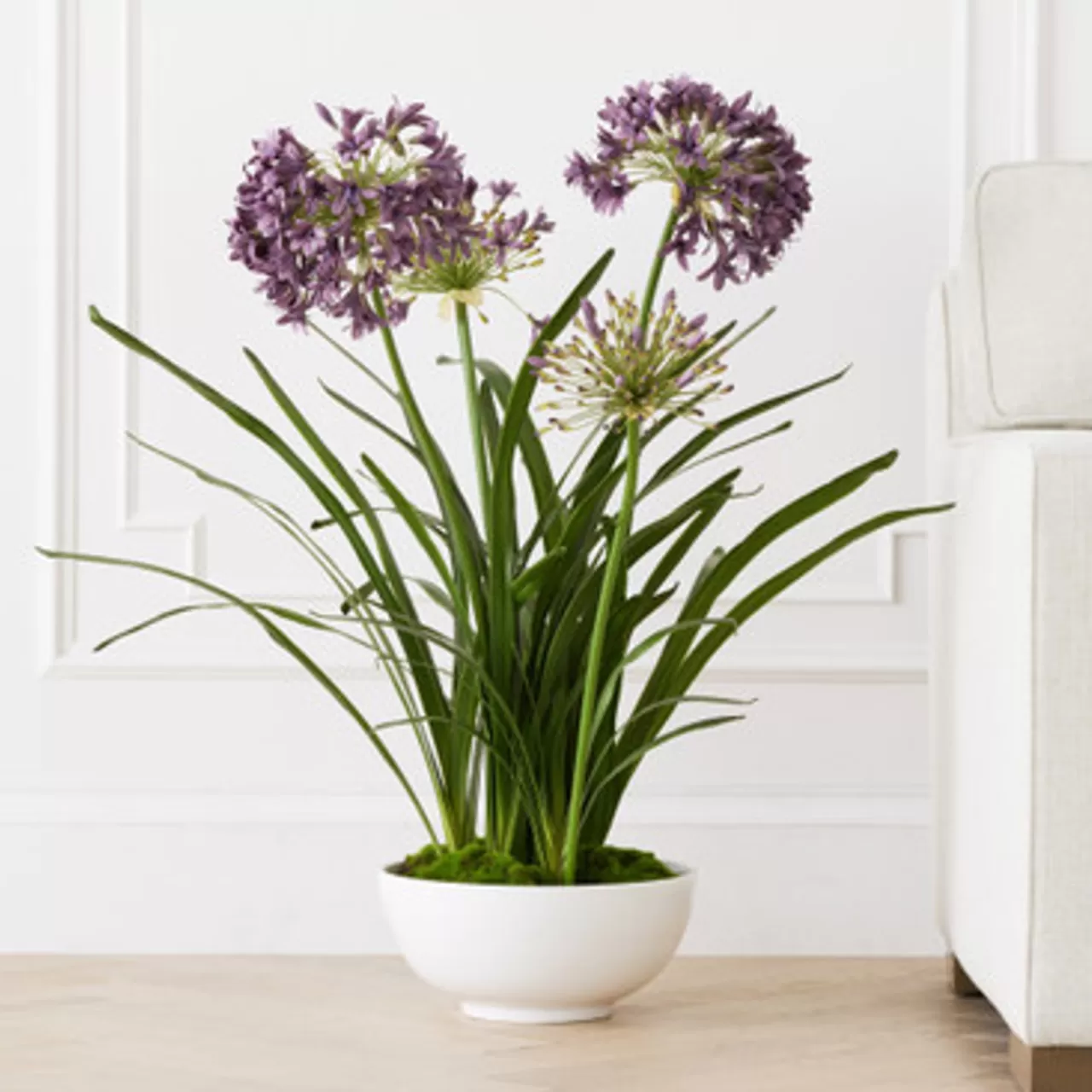 Z Gallerie Faux Potted Agapanthus> Home Decor | Décor Sale