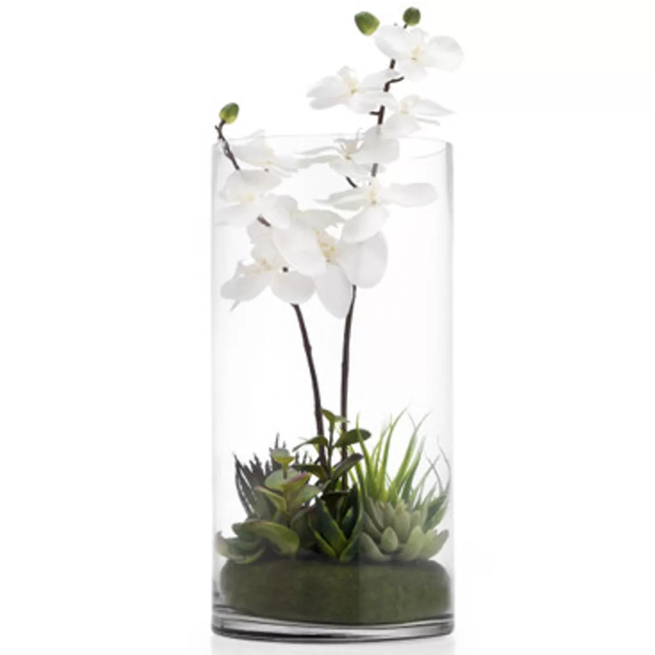 Z Gallerie Faux Potted Orchid With Succulents> Home Decor | Décor Sale