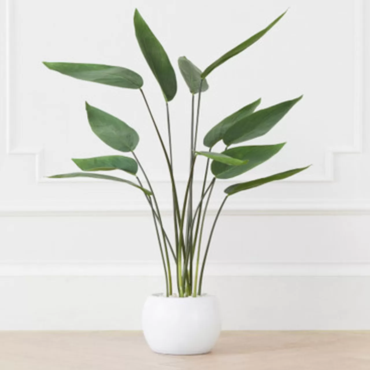 Z Gallerie Faux Potted Water Canna> Home Decor | Décor Sale