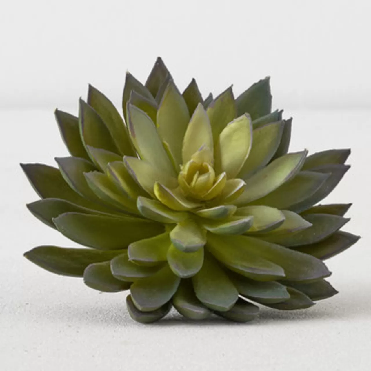 Z Gallerie Faux Thorn Succulent Pick> Home Decor | Décor Sale