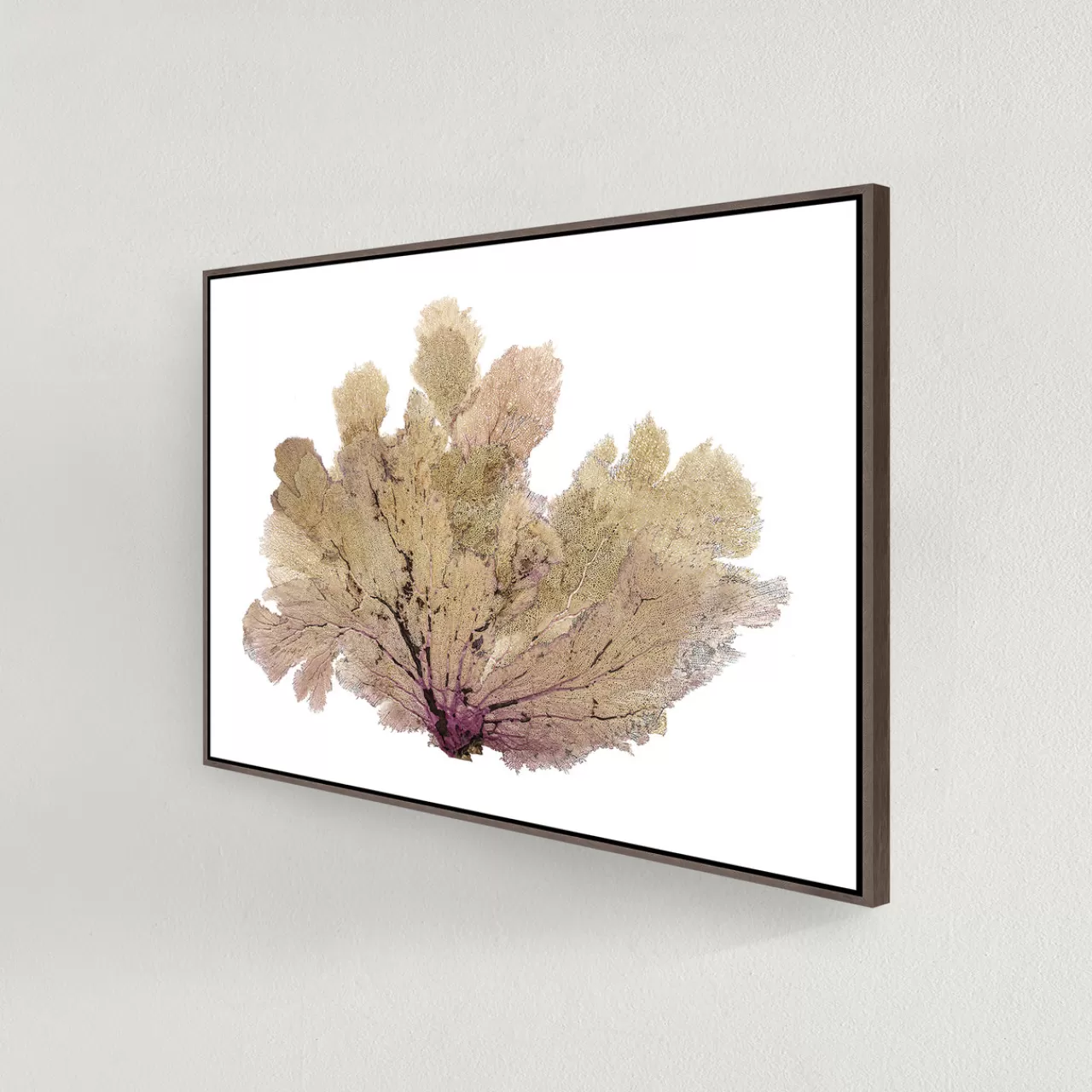 Z Gallerie Golden Seafan​> Framed Art | Canvas