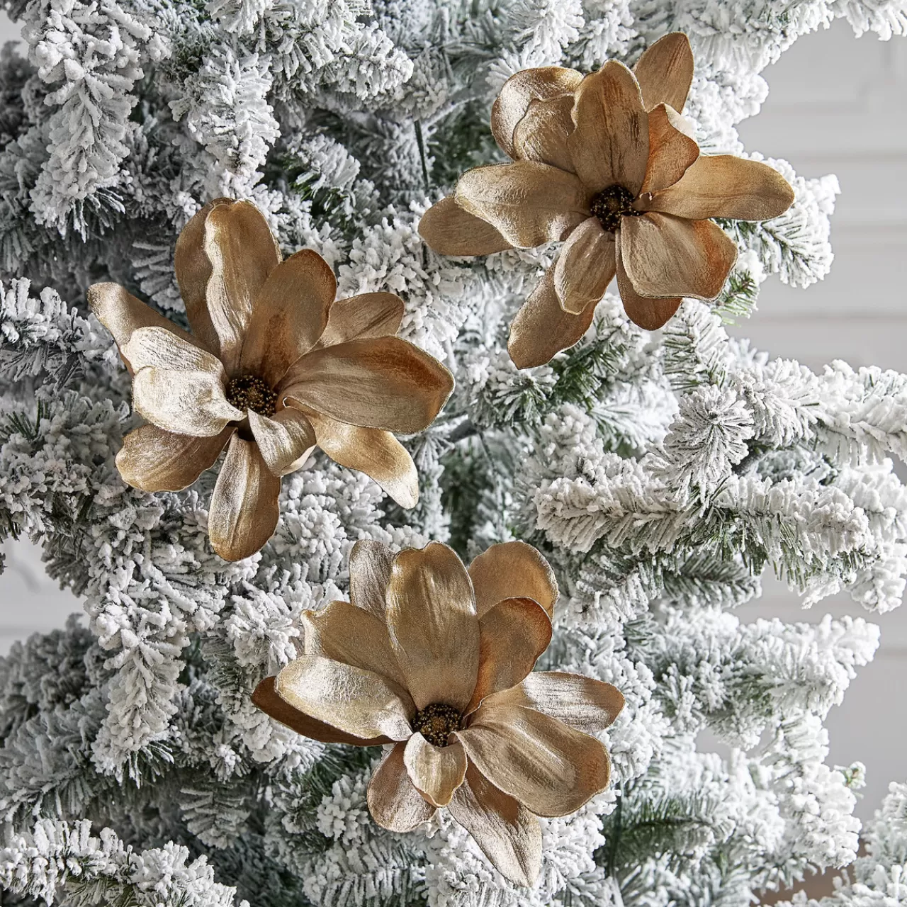 Z Gallerie Velvet Magnolia Clip - Set of 3> Ornaments | Décor Sale