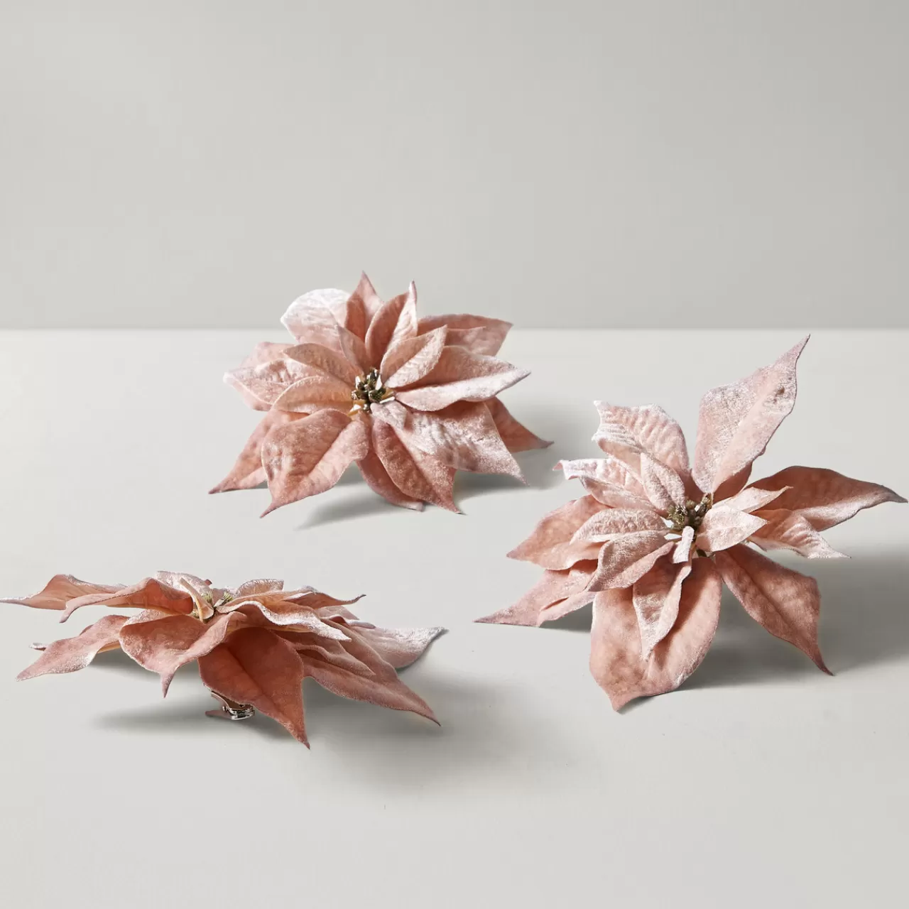 Z Gallerie Velvet Poinsettia Clip - Blush - Set of 3> Ornaments | Décor Sale